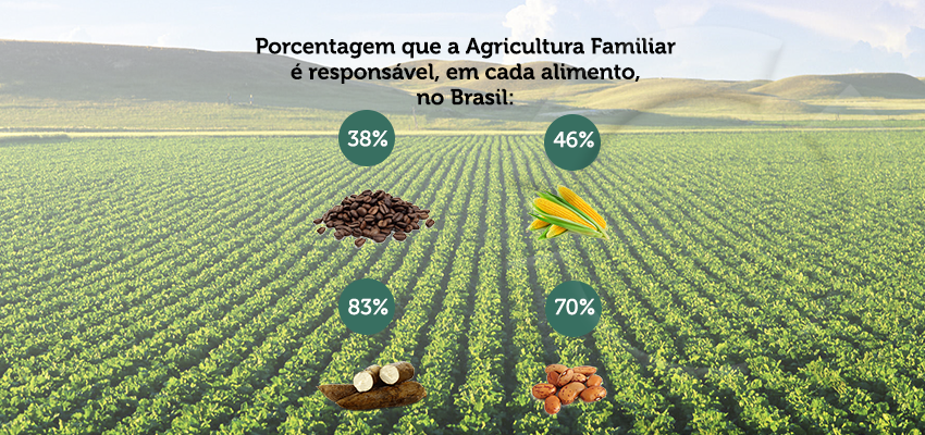 Agricultura Familiar Na Economia Brasileira 7733